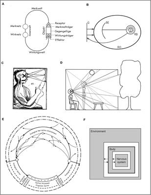 Picturing Organisms and Their Environments: Interaction, Transaction, and Constitution Loops